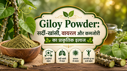 Giloy Powder: सर्दी-खांसी, वायरल और कमजोरी का प्राकृतिक इलाज